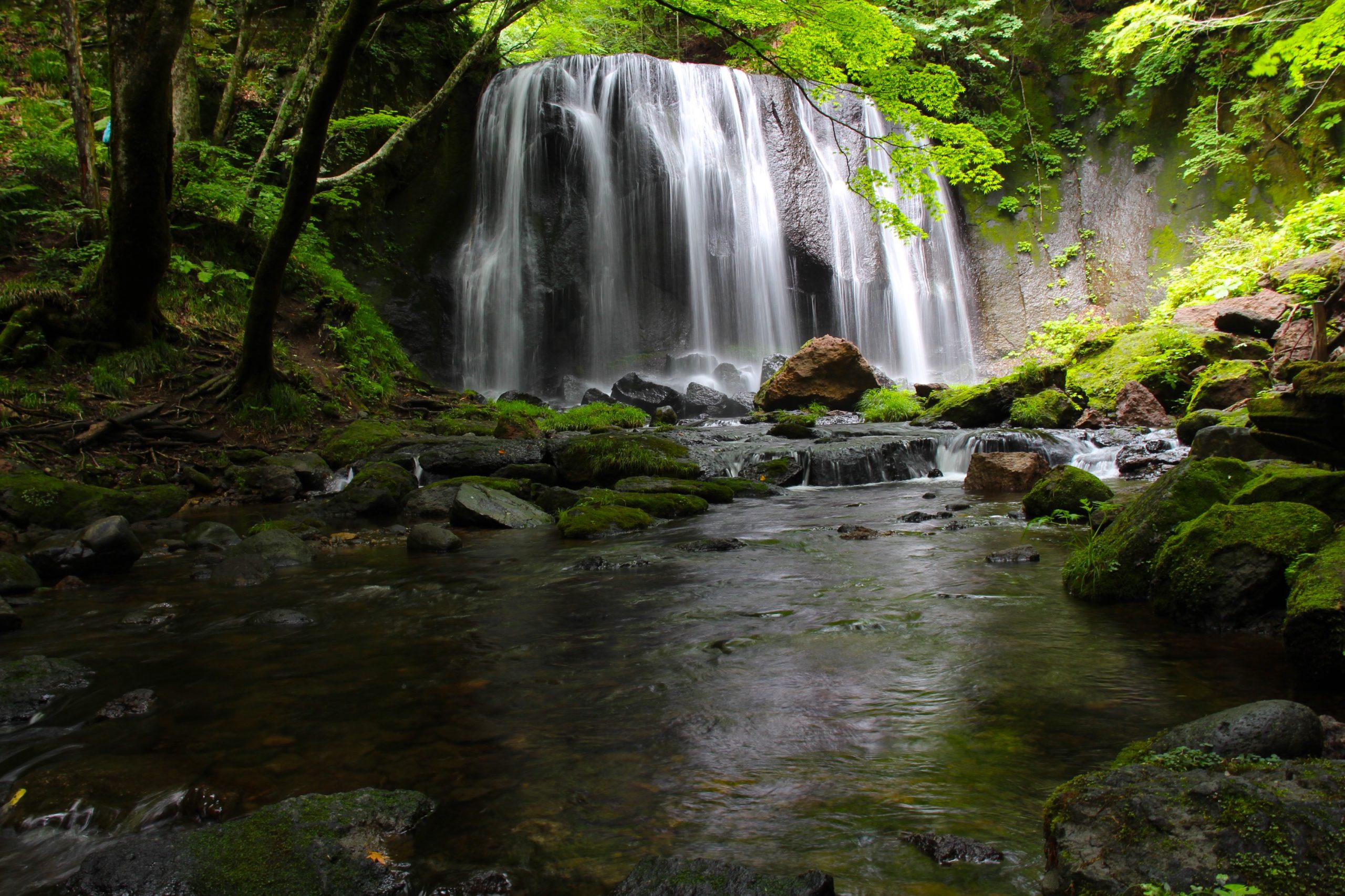 夏の森を歩き、荘厳な雰囲気漂う名瀑・達沢不動滝へ - 岳温泉観光協会