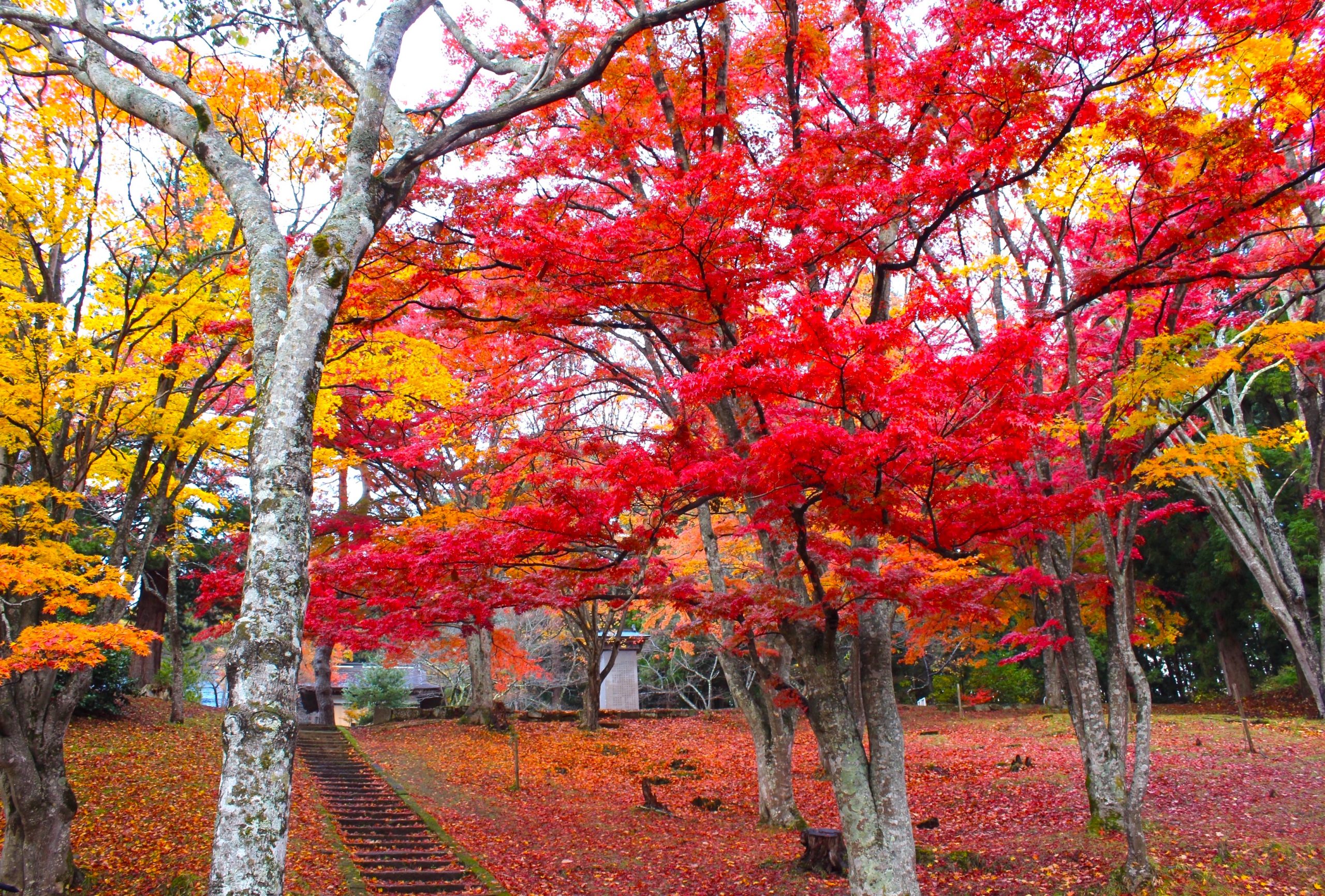 遊覧船に洋館に紅葉も！ 魅力いっぱいの猪苗代湖へ出かけよう - 岳温泉