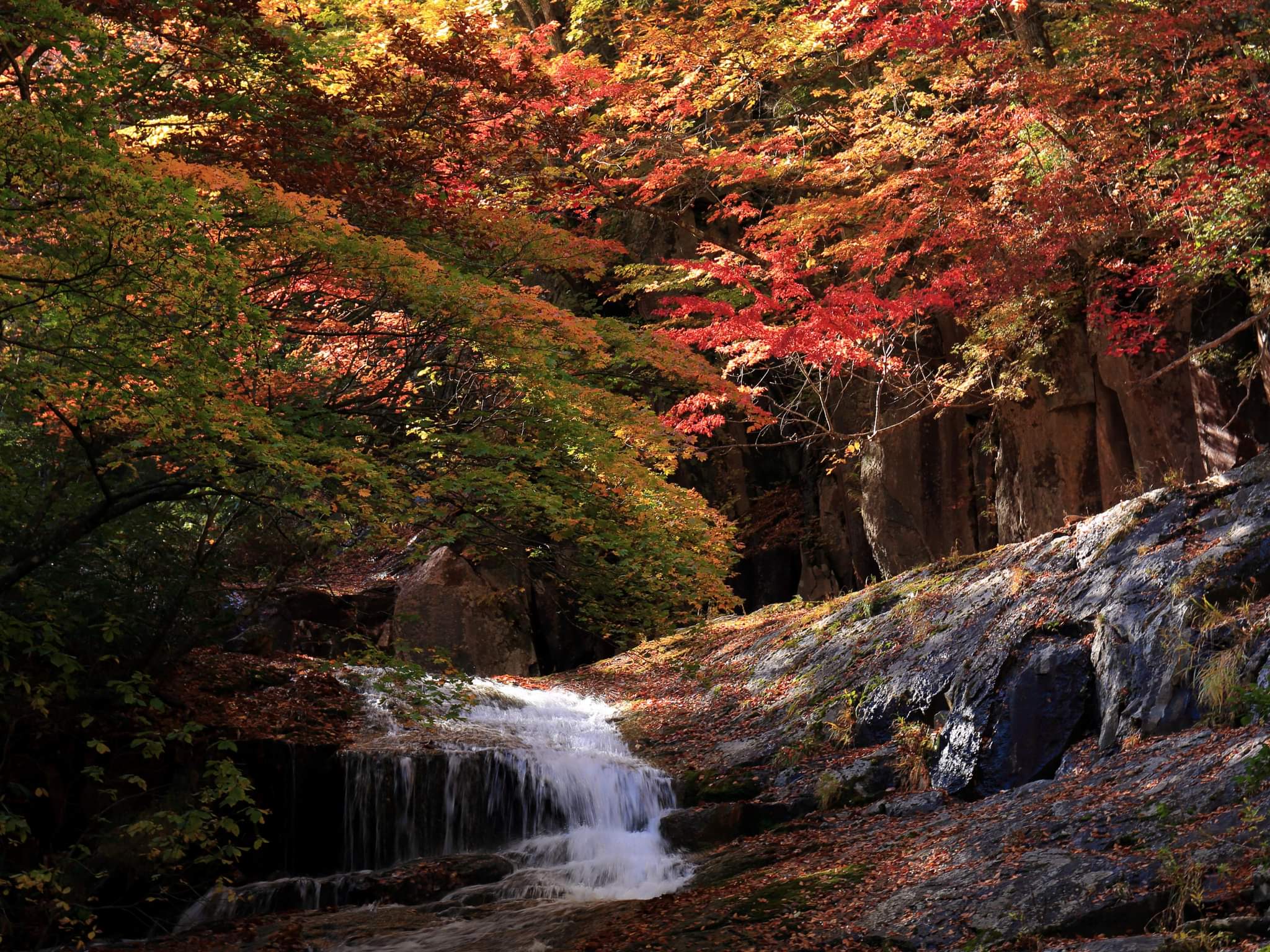 鮮やかな紅葉と滝を楽しめる、安達太良山の渓谷ハイキング