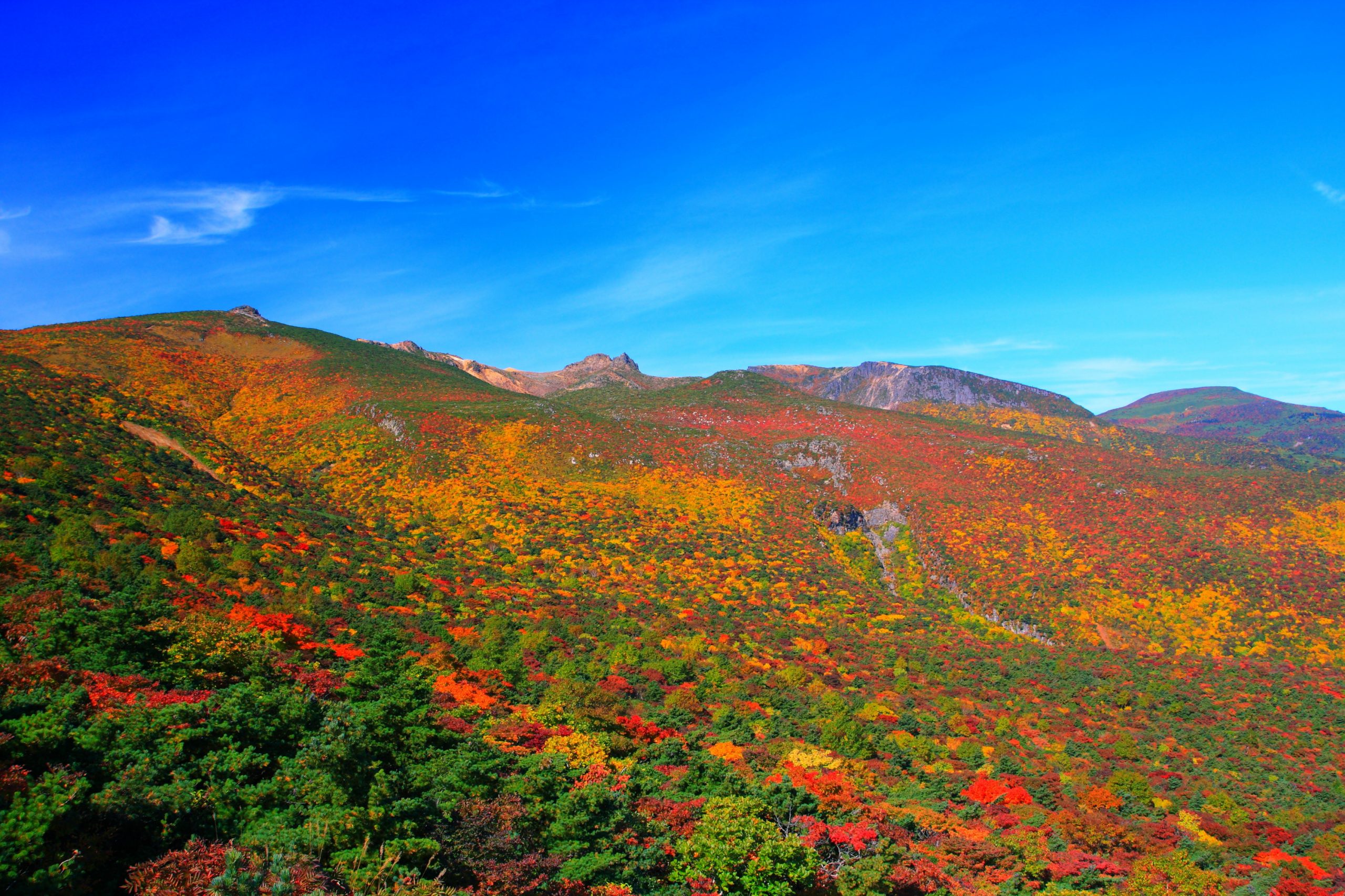 終了】安達太良山登山 2025年奥岳便 錦秋号 臨時バスを運行します