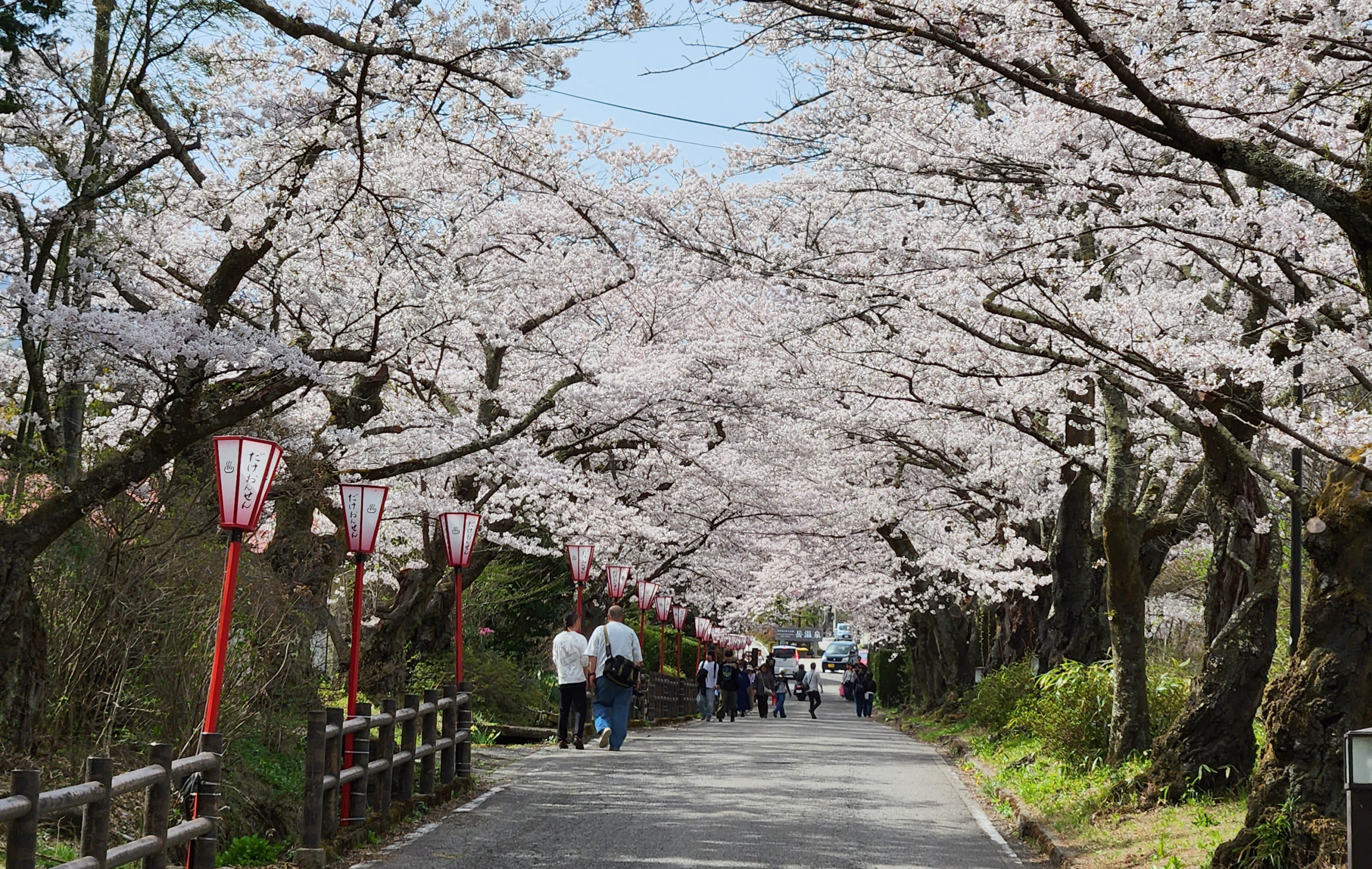 岳温泉千本桜を守る会 会員募集!! - 岳温泉観光協会公式サイト